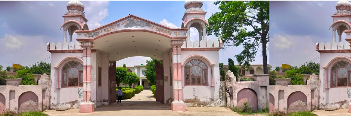 Chaudhary Natthu Singh Mahavidyalaya Etawah
